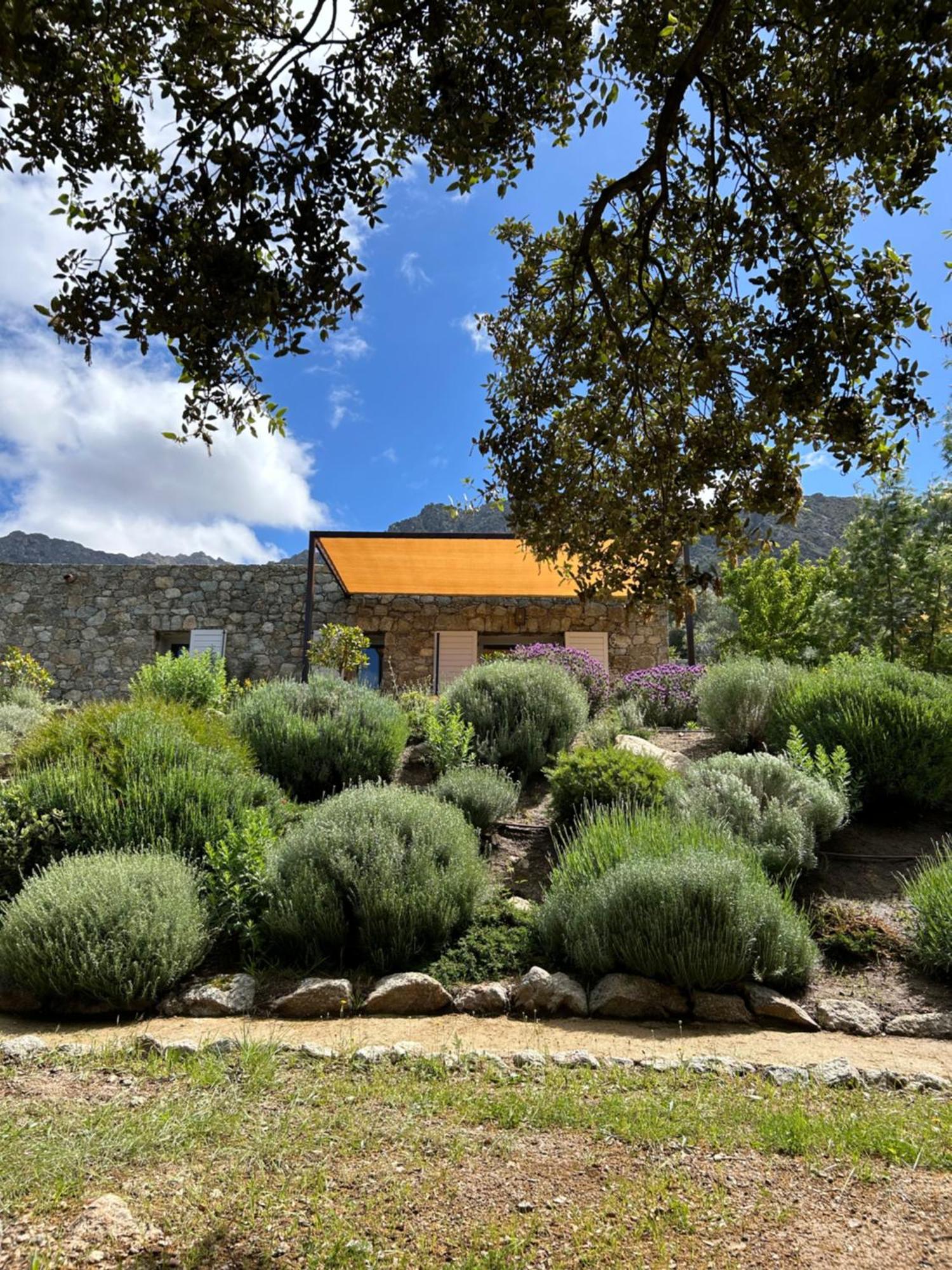 Residence Casarella Lama Buitenkant foto